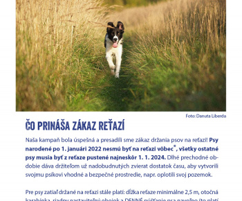 Aktuality / Držanie psa na reťazi je od januára 2024 na Slovensku zakázané - foto