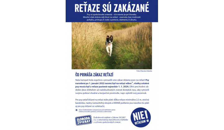 Držanie psa na reťazi je od januára 2024 na Slovensku zakázané