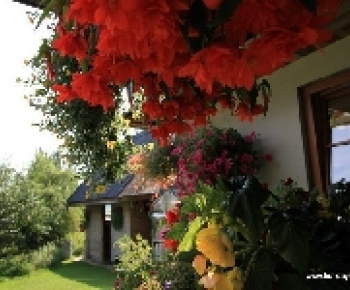 Ubytovanie / Holiday House No. 35