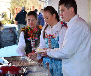 Štôlska koštofka, psie záprahy - 2012