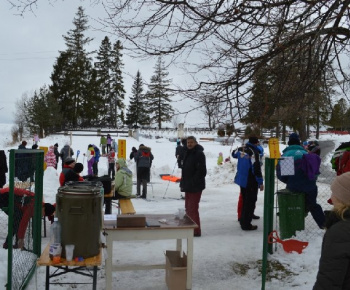 lyža 2013