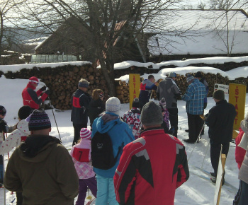 lyža 2015