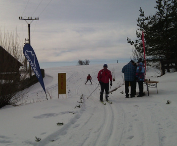 lyža 2015