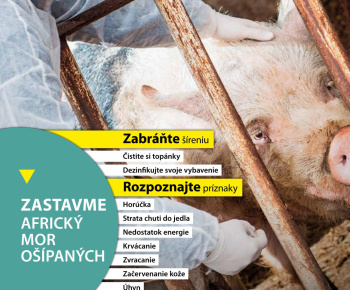 Aktuality / Africký mor ošípaných - zvyšovanie povedomia verejnosti, pol'ovníkov, chovateľov - foto