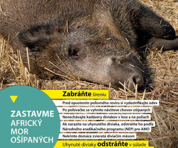 Aktuality / Africký mor ošípaných - zvyšovanie povedomia verejnosti, pol'ovníkov, chovateľov - foto