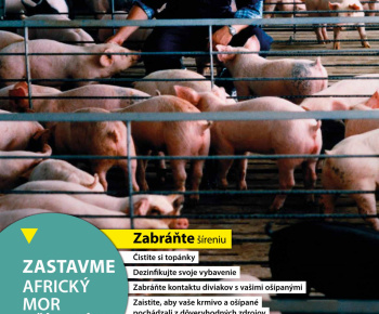 Aktuality / Africký mor ošípaných - zvyšovanie povedomia verejnosti, pol'ovníkov, chovateľov - foto
