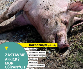 Aktuality / Africký mor ošípaných - zvyšovanie povedomia verejnosti, pol'ovníkov, chovateľov - foto