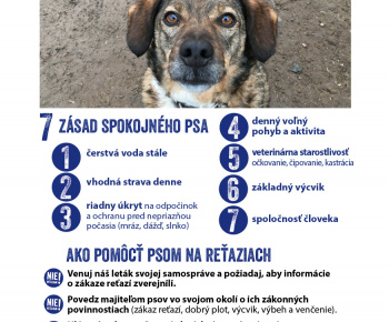 Aktuality / Držanie psa na reťazi je od januára 2024 na Slovensku zakázané - foto