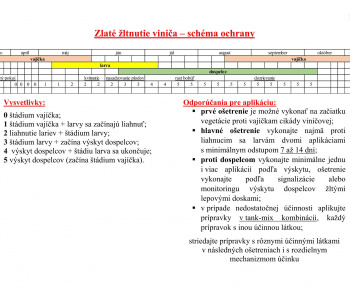 Aktuality / Naliehavé upozornenie na zamedzenie šírenia choroby Zlaté žltnutie viniča - foto