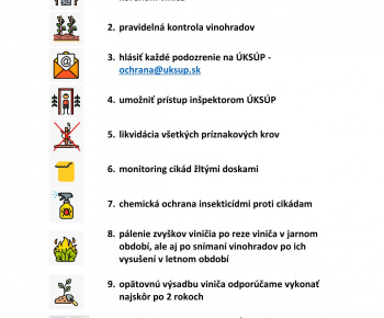 Aktuality / Naliehavé upozornenie na zamedzenie šírenia choroby Zlaté žltnutie viniča - foto