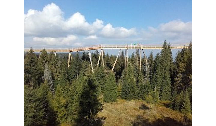 Chodník v korunách stromov v Bachledovej doline