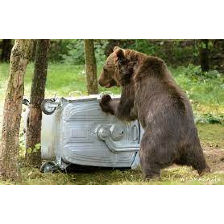 Povinnosti držiteľa odpadu zabezpečiť odpad pred prístupom medveďa hnedého