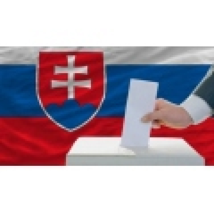 Voľby do NR SR 2023 - hlasovanie do prenosnej volebnej schránky